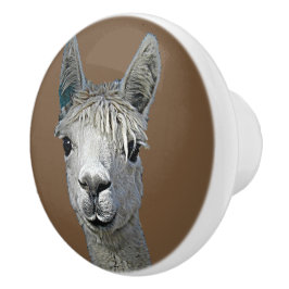 Alpaca Alpakka Alpaka Alpaga Keramische Knop