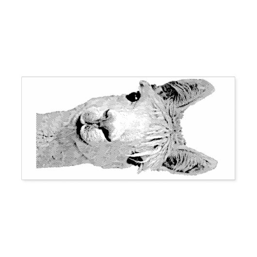 Alpaca Alpakka Alpaka Alpaga Rubberstempel (Afrduk)