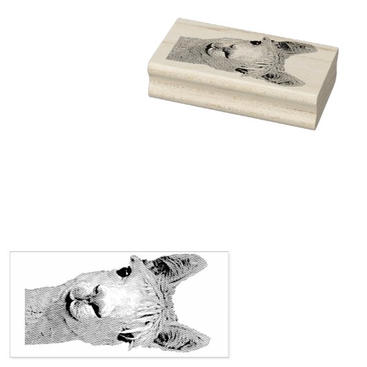 Alpaca Alpakka Alpaka Alpaga Rubberstempel (Gestempeld)