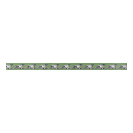 Alpaca Alpakka Alpaka Alpaga Satijnen Lint (Voorkant)