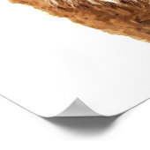 Alpaca Animal Portrait Poster (Hoek)