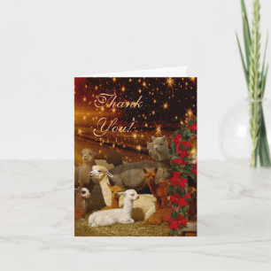 Alpaca Bedankt Kerstkaart
