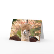 Alpaca Belle Verjaardag Kaart