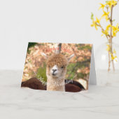Alpaca Belle Verjaardag Kaart (Gele Bloem)