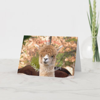 Alpaca Belle Verjaardag Kaart