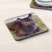 Alpaca Bier Onderzetter (Linkerzijde)