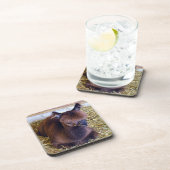 Alpaca Bier Onderzetter (Rechterzijde)