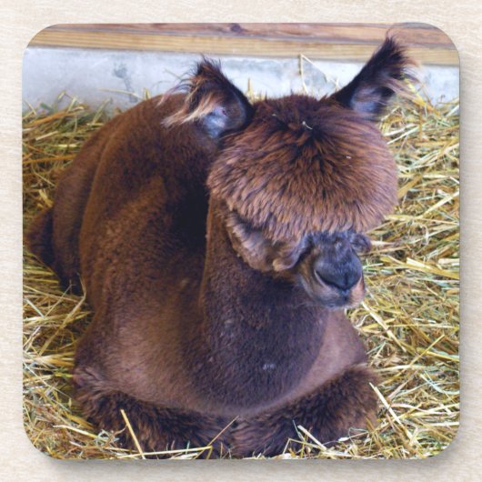 Alpaca Bier Onderzetter (Voorkant)