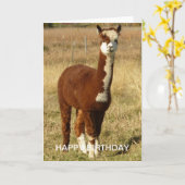 Alpaca Birthday Kaart (Gele Bloem)