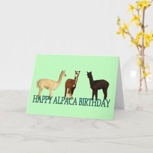 Alpaca Birthday Kaart (Gele Bloem)