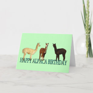 Alpaca Birthday Kaart