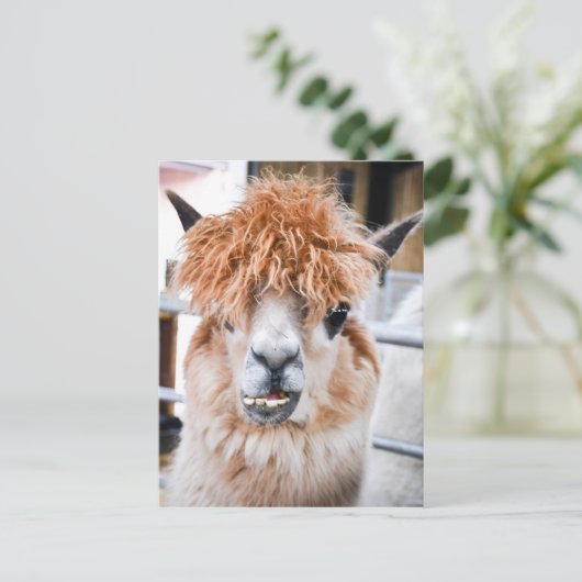 Alpaca Briefkaart (Staand voorkant)