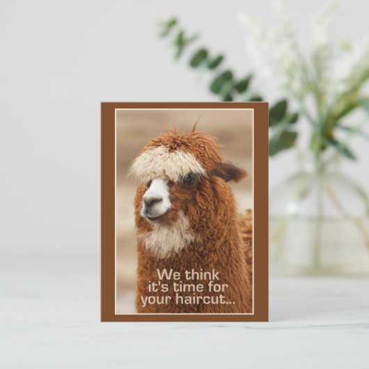 Alpaca briefkaart (Staand voorkant)