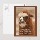 Alpaca briefkaart (Voorkant / Achterkant)