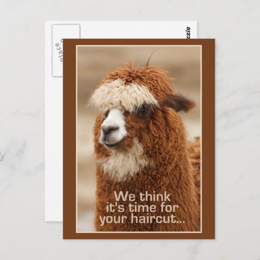 Alpaca briefkaart (Voorkant / Achterkant)