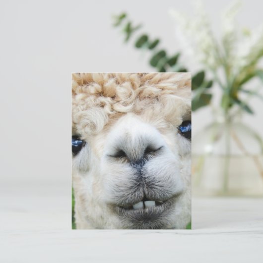 ALPACA BRIEFKAART (Staand voorkant)