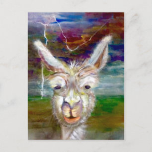 Alpaca - briefkaart oom Glen