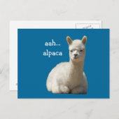 Alpaca-Briefkaarten Briefkaart (Voorkant / Achterkant)