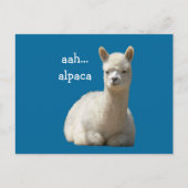 Alpaca-Briefkaarten Briefkaart (Voorkant)