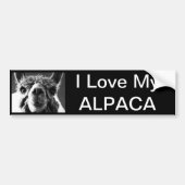 Alpaca Bumpersticker (Voorkant)
