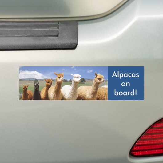 Alpaca Bumpersticker Alpacas aan boord (Op auto)