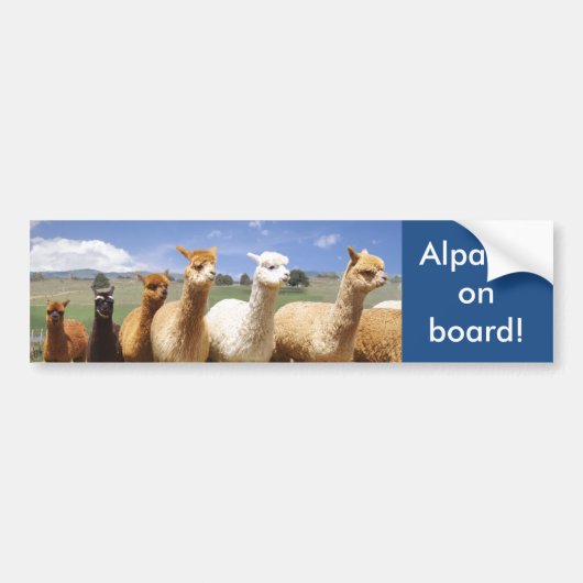 Alpaca Bumpersticker Alpacas aan boord (Voorkant)