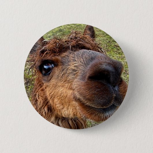 Alpaca-Button Ronde Button 5,7 Cm (Voorkant)