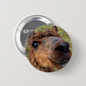 Alpaca-Button Ronde Button 5,7 Cm (Voorkant /achterkant)