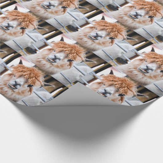 Alpaca Cadeaupapier (Hoek)