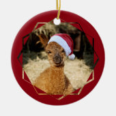 Alpaca Chirstmas Ornament (Voorkant)
