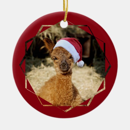 Alpaca Chirstmas Ornament (Voorkant)
