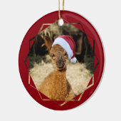 Alpaca Chirstmas Ornament (Links)