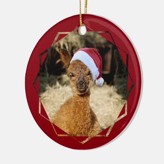 Alpaca Chirstmas Ornament (Links)
