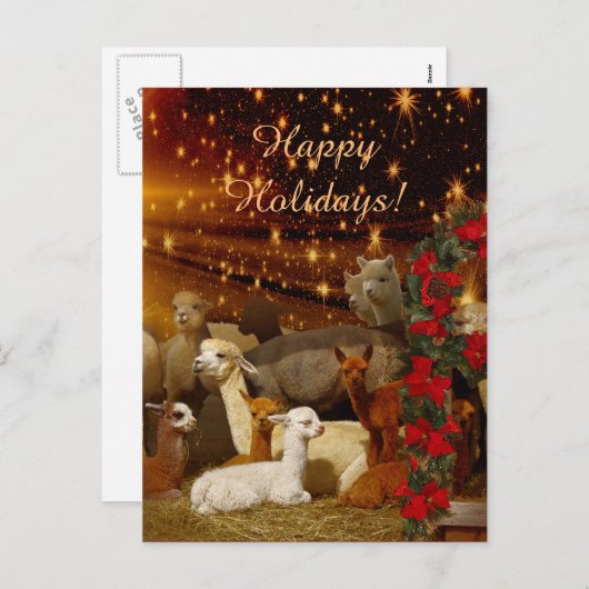 Alpaca Christmas Briefkaarten (Voorkant / Achterkant)