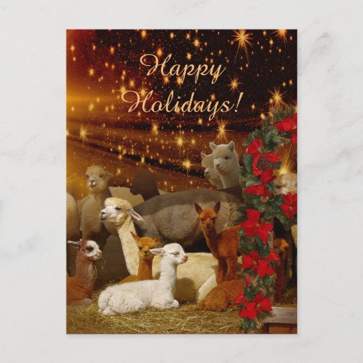 Alpaca Christmas Briefkaarten (Voorkant)