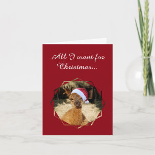 Alpaca Christmas Kaarten