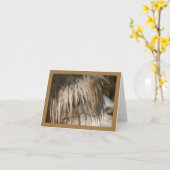 Alpaca Close-up - Kaart (Gele Bloem)