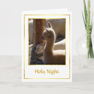 Alpaca Cria Christmas Kaart