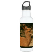 Alpaca Cria - "Papa's verrassing" Waterfles (Voorkant)