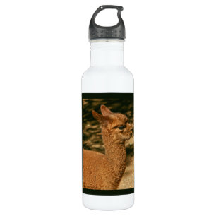 Alpaca Cria - "Papa's verrassing" Waterfles