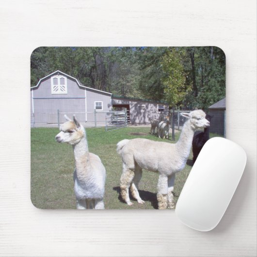 Alpaca Days Muismat (Met muis)