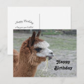 Alpaca die Hoo eet Dier Foto Verjaardag Briefkaart (Voorkant / Achterkant)