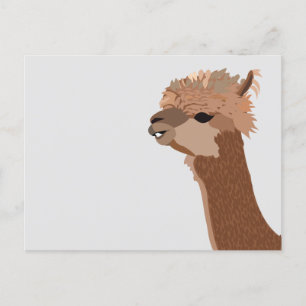 Alpaca Dier Schattig Briefkaart