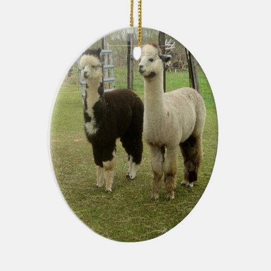 Alpaca Duo Keramisch Ornament (Rechts)