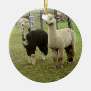 Alpaca Duo Keramisch Ornament