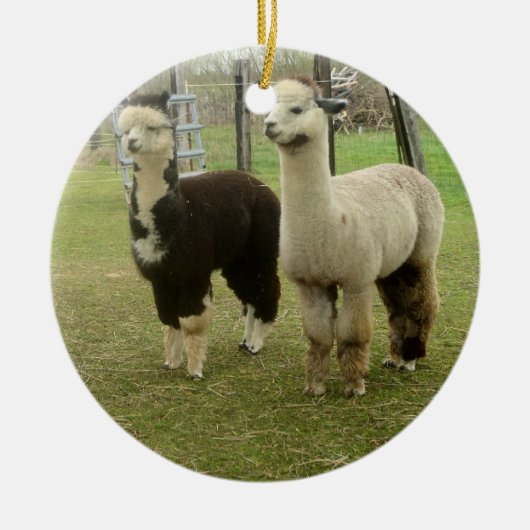Alpaca Duo Keramisch Ornament (Voorkant)