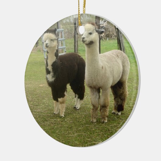 Alpaca Duo Keramisch Ornament (Links)