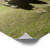 Alpaca Duo Poster (Hoek)