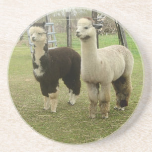 Alpaca Duo Zandsteen Onderzetter