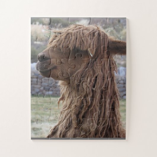 ALPACA EASY JIGSAW PUZZLE LEGPUZZEL (Verticaal)